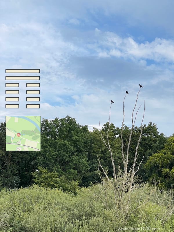 OVERZICHT