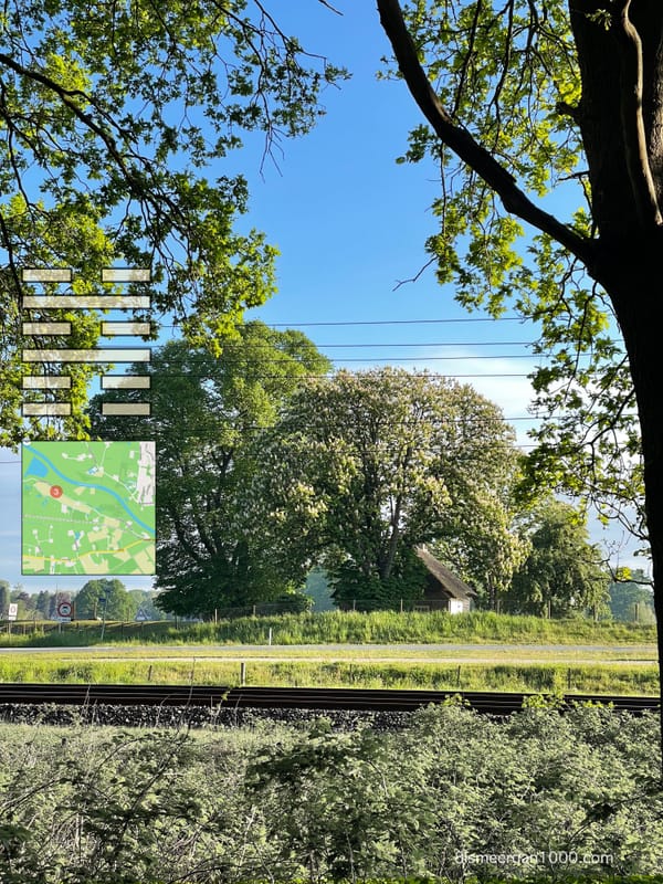 NIERVEER