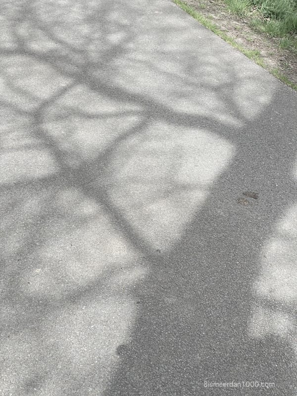 EEN BRUISEN VAN MOGELIJKHEDEN
