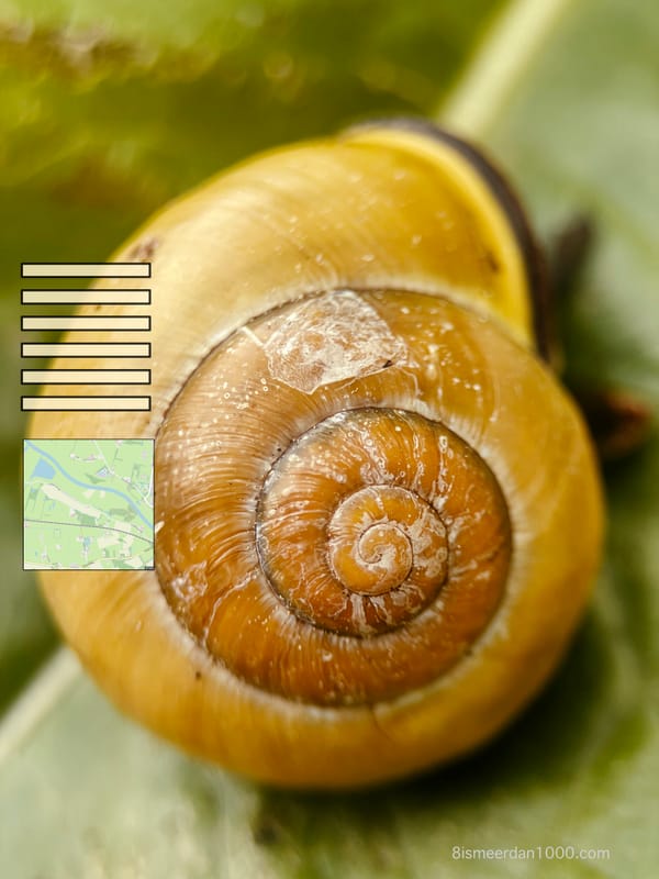 .. SPIRAL
