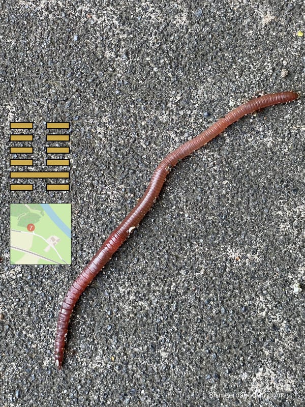 .. WORM